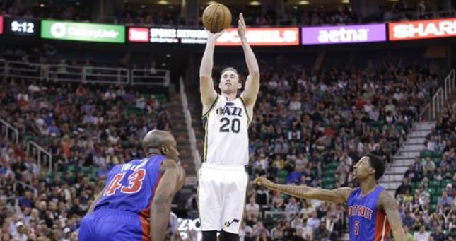 我们看到马 我们看到马