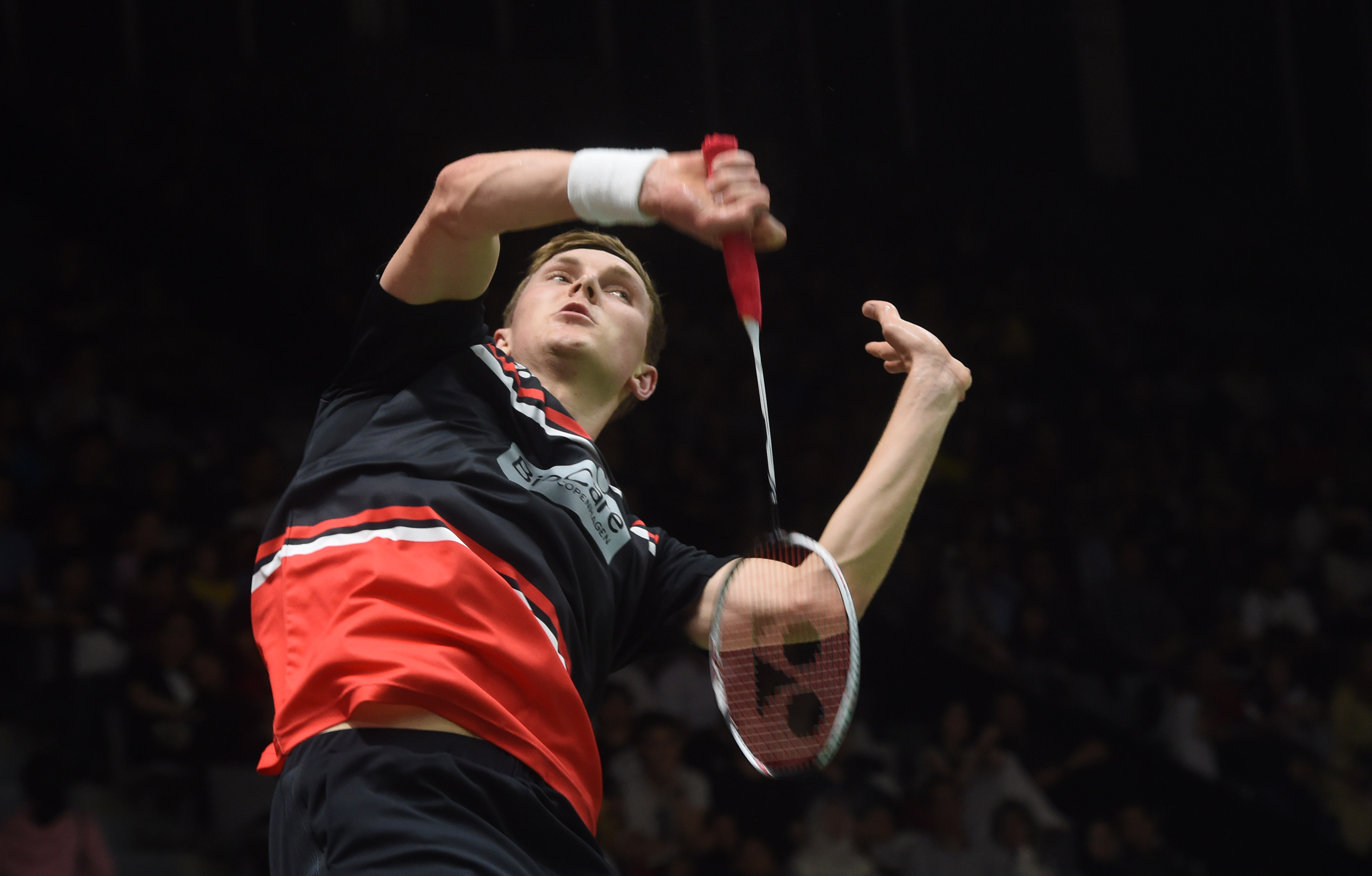 法布里齐奥 法布里齐奥