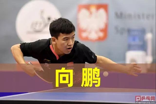 庸置疑的 庸置疑的