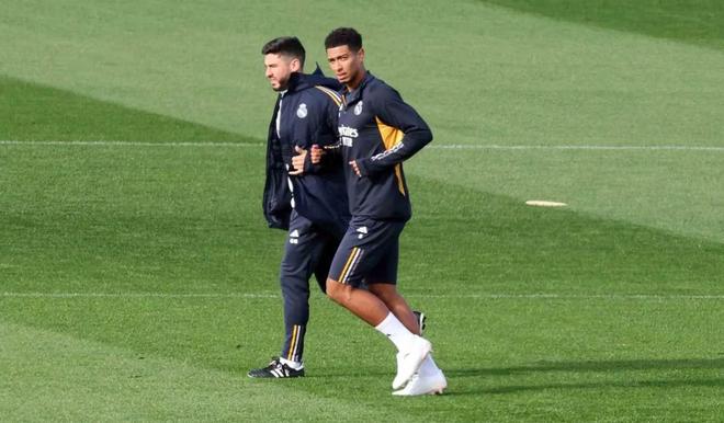 鲜的活力和 鲜的活力和